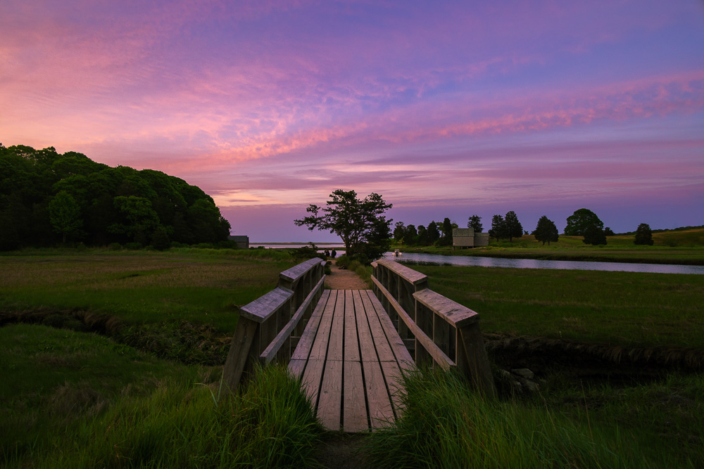 Cape Cod